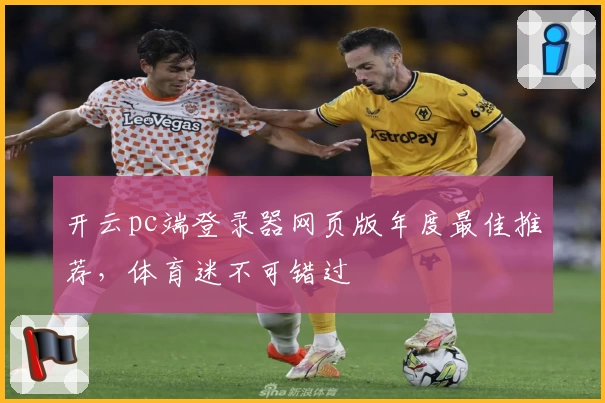 开云pc端登录器网页版年度最佳推荐，体育迷不可错过